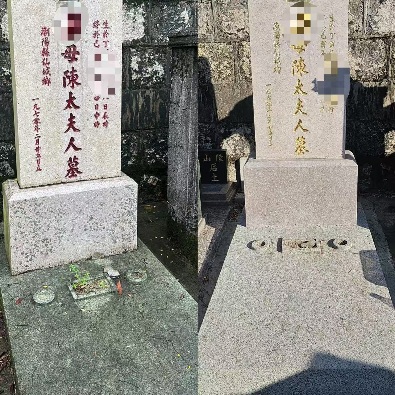 補金箔/紅油